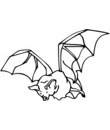 chauve-souris animal halloween