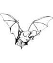 chauve-souris image a imprimer