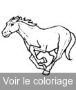 cheval de course