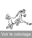 cheval au grand galop