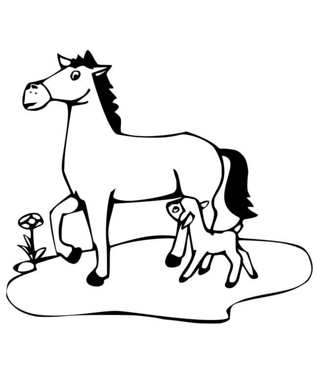 CHEVAL - Coloriage Cheval gratuit a imprimer - toupty.com