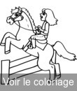 cheval concours saut obstacle