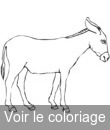 animal ane mule mulet