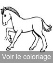 cheval crinière jaune