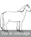 chevaux de trait boulonnais