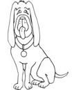 chien Basset Hound columbo