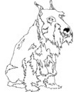 chien