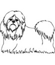 CHIEN  Coloriage de chiens a imprimer  Toupty.com