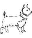 chien cain Terrier