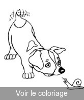 coloriage Chiot s'amuse avec escargot