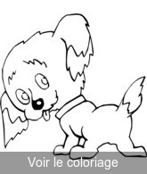 coloriage Chiot aux grandes oreilles