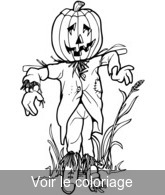 Coloriage Citrouille sur tête épouvantail | Toupty.com