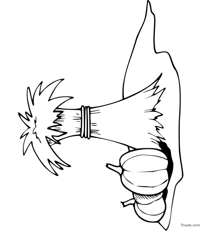 coloriage-citrouille Page 9