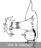 Coloriage Citrouille dans les champs | Toupty.com