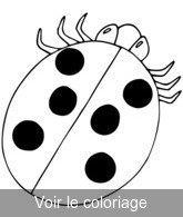 coloriage coccinelle avec 6 pois noirs