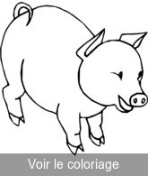 Coloriage Petit Cochon Mignon | Toupty.com