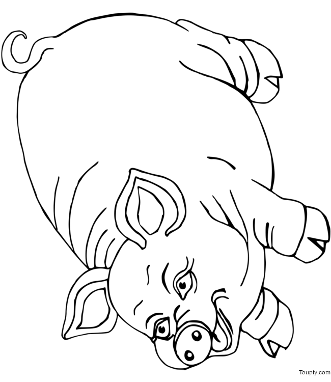 coloriage-cochon-mignon Page 4