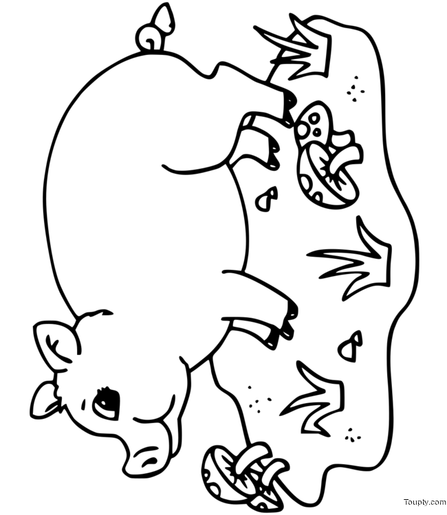 coloriage-cochon-mignon Page 6