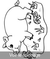 Coloriage Petit Cochon dans les Champs | Toupty.com