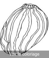 colorier coloriage coquillage