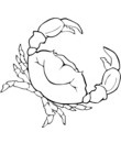 crabe touteau mer