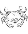 petit crabe rigolo