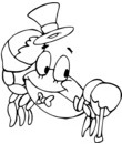 crabe chapeau haut de forme