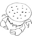 crabe avec une grosse carapace