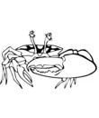 énorme pince unique crabe