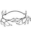 expression visage crabe