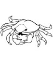 crabe guerrier combat