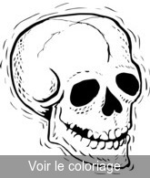 Coloriage Crâne qui à l'air de sourrire | Toupty.com