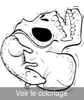 Coloriage Crâne et rat sur la tête | Toupty.com