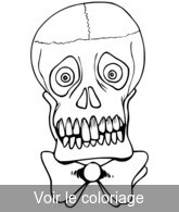 Coloriage Crâne avec noeud papillon | Toupty.com