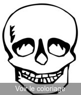 Coloriage Crâne vu de face | Toupty.com