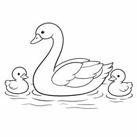 Coloriage famille de cygnes semi réaliste simple, un adulte et deux cygneaux sur l’eau