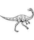 dinosaure prosauropode aardonyx