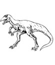 dinosaure vélociraptor raptor