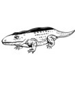 dinosaure marin crocodilecus