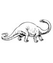 grand dinosaure diplodocus