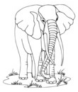 coloriage elephant gratuit