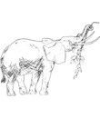 image elephant pour colorier