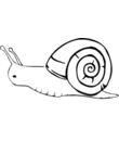 coloriage numero vingt trois d'escargot a imprimer