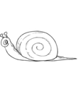 coloriage numero six d'escargot a imprimer