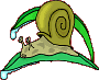 coloriage escargot