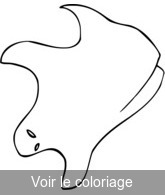 Coloriage Fantôme qui vole dans les airs | Toupty.com