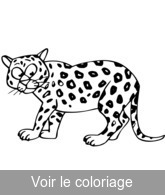 coloriage jaguar dessin animé