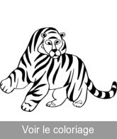 coloriage tigre etrange