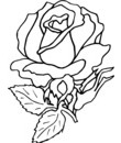 fleur 48