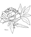 fleur 68